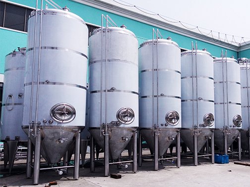 Tofflon Joy 发酵罐