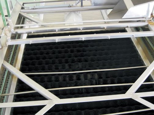 Tofflon Joy 毛刷清洗机