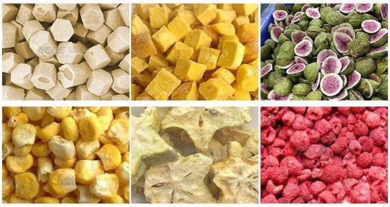 工业冷冻干燥机 食品脱水机 冻干水果