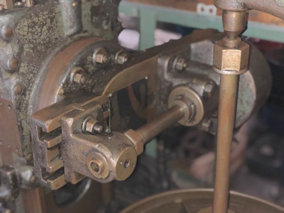 樫藤(カシフジ) 600