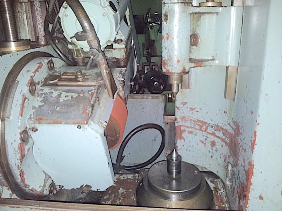 樫藤(カシフジ) KGH300