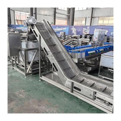 全自动蔬菜生产全套设备 红薯清洗分级流水线 烘干分选