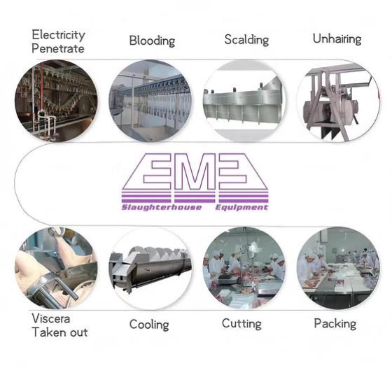 家禽烫毛和拔毛组合机 屠宰场设备 鸡屠宰线用鸭屠宰机