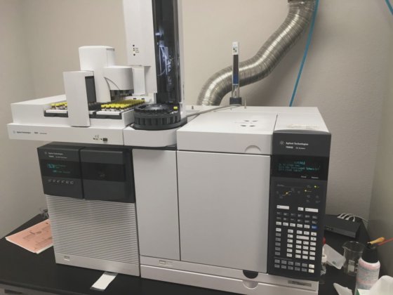 Agilent 7000C Triple Quad GC/MS