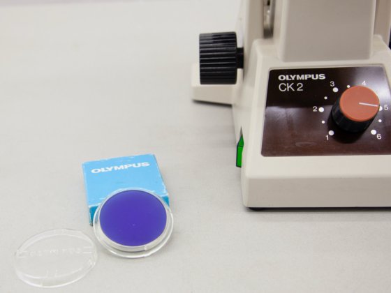 Microscope Olympus CK2