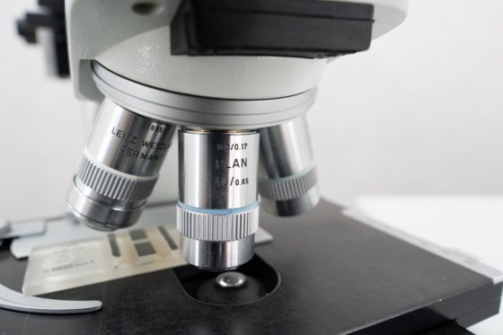 Microscope Leitz Laborlux S