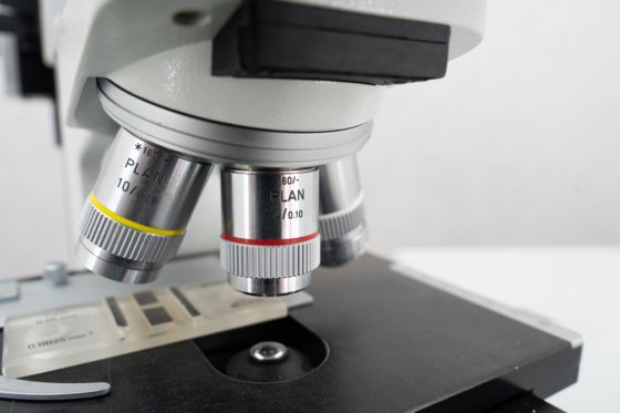 Microscope Leitz Laborlux S