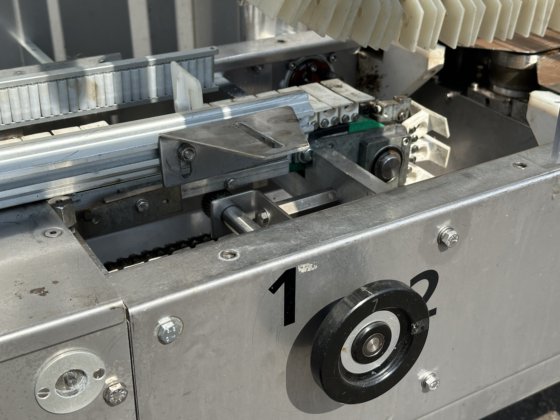 Record Panda BS RS Medium