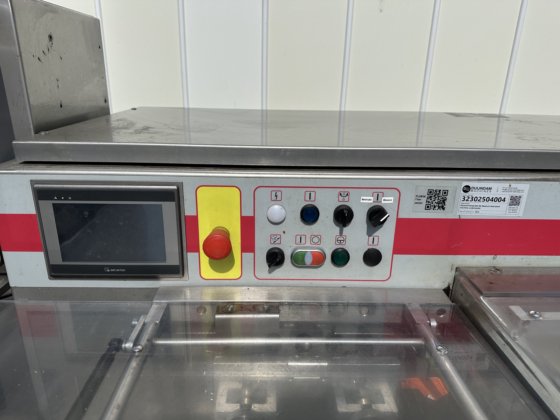 Record Panda BS RS Medium