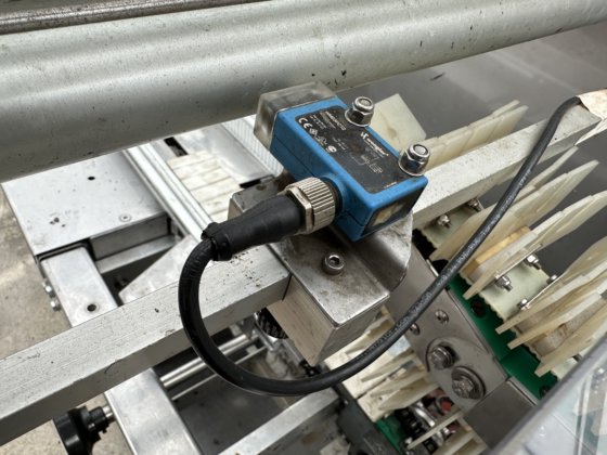 Record Panda BS RS Medium