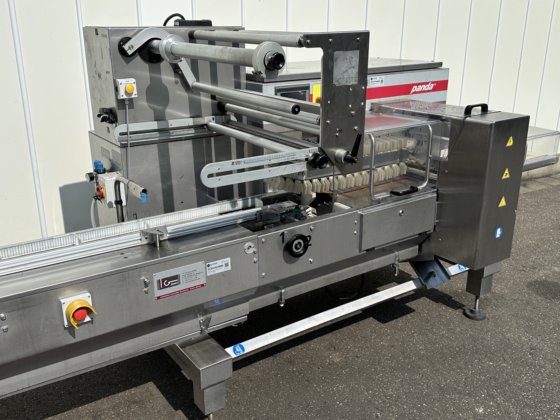 Record Panda BS RS Medium