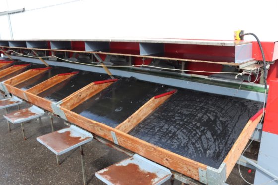 Aweta E8 cucumber sorting machine