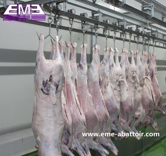 用于山羊、羊肉屠宰场屠宰的现代技术绵羊屠宰场机械 肉类加工机械