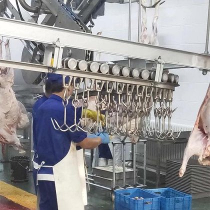 用于山羊、羊肉屠宰场屠宰的现代技术绵羊屠宰场机械 肉类加工机械