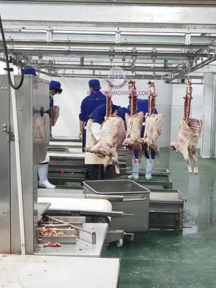 羊肉清真屠宰场全套绵羊屠宰线设备，附带山羊屠宰机