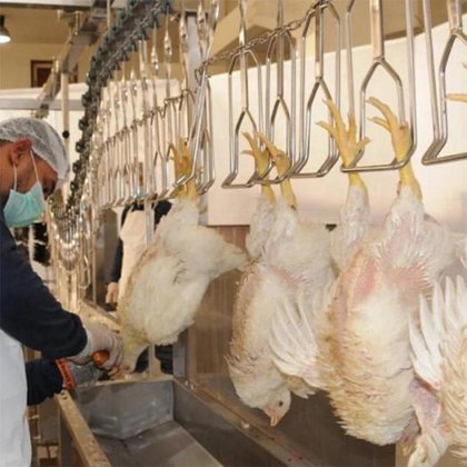小型家禽加工设备 日处理 5000 只家禽的屠宰场家禽生产线设备
