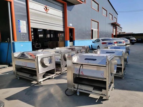 高品质自动可定制清洗去皮机牡蛎贝类姜土豆