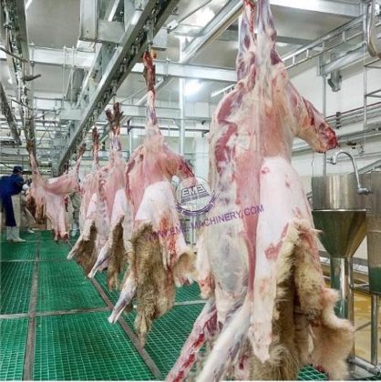 新型屠宰场设备 用于山羊屠宰的绵羊脱毛机