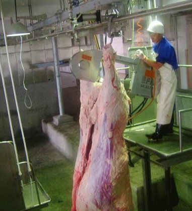 高效牛屠宰场屠宰设备 皮带式牛分割锯 屠宰场牛肉肉类加工机械