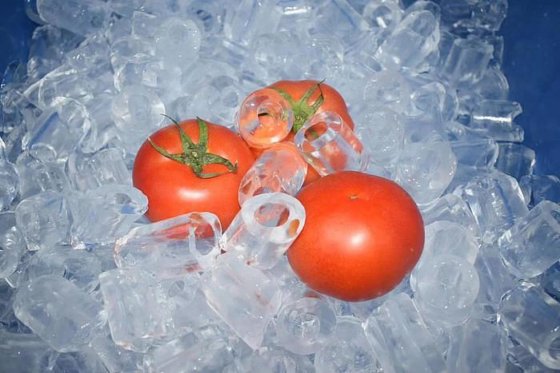 工場価格 1t 中国製チューブ製氷機