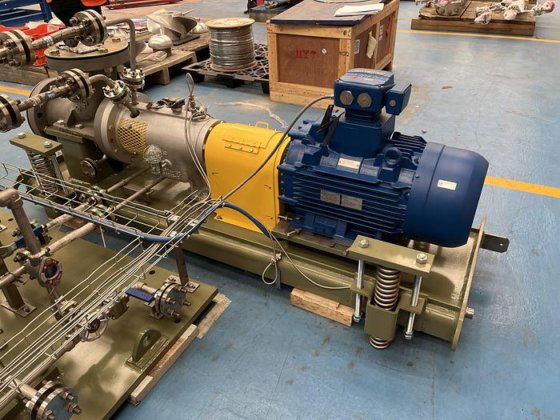 2022 Flowserve Loop Reactor Circulating Pumps – API 610 在 伦巴第, 意大利
