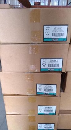 UTPケーブル 5フィート モデル UTP6X5BLY ブランド