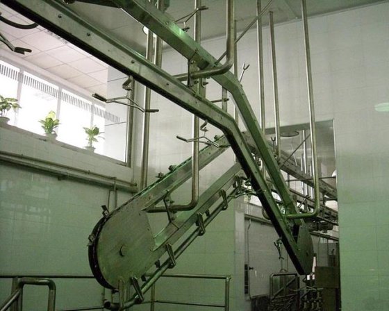 价格便宜的屠宰场绵羊/山羊放血斜坡提升机 绵羊屠宰线屠宰场设备
