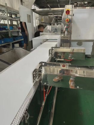 带金属检测器的自动食品包装重量检测机输送式检重秤