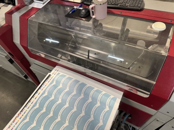 2008 MUELLER-MARTINI Pantera