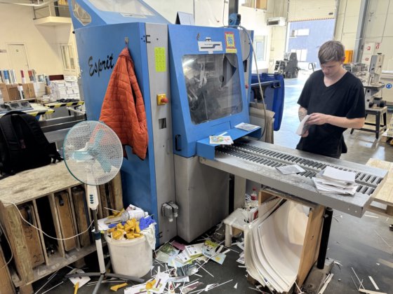 2008 MUELLER-MARTINI Pantera