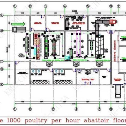 先进的家禽屠宰设备屠宰场生产线 用于农业机械和设备的拔鸡毛机