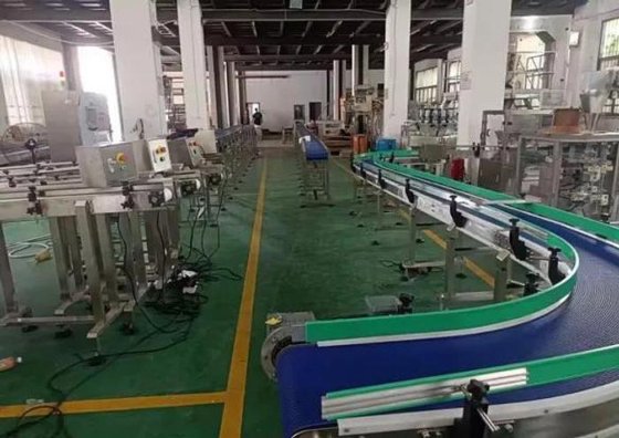 带制动法兰的 PU 水果输送带机 食品工业带式输送系统