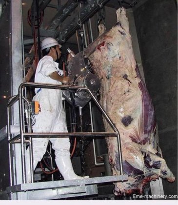 高质量奶牛屠宰场设计 屠宰场设备 奶牛屠宰设备用牛体分割锯，出厂价