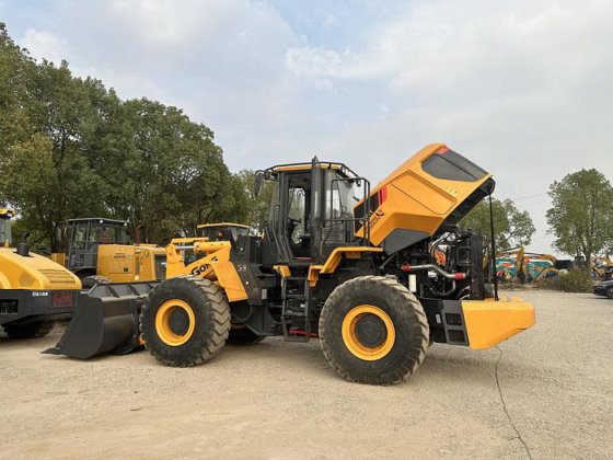 2020 LIUGONG 856H