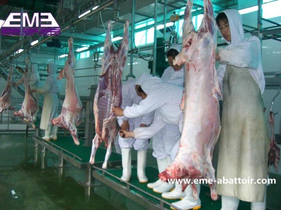 屠宰设备 清真山羊/绵羊脱毛机 羊肉屠宰场 山羊屠宰设备和绵羊屠宰设备
