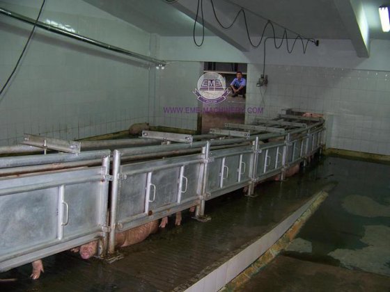 屠宰场 生猪屠宰设备 操作简单、方便 生猪入口通道