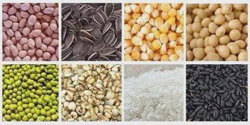 Automatic Grain Rice Weighing Packing