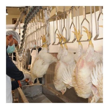 鸡屠宰设备 家禽加工设备 家禽吸肺和吸肾系统 鸡屠宰设备