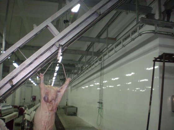 用于生猪屠宰设备的高效率生猪屠宰场升降机