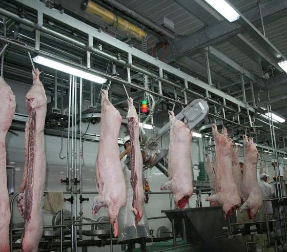 最畅销的生猪屠宰场设备 生猪屠宰线设备猪肉胴体分割锯