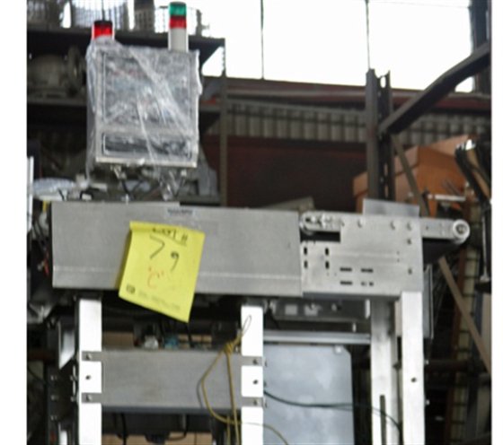 Ramsey Icore Checkweigher 6121 in