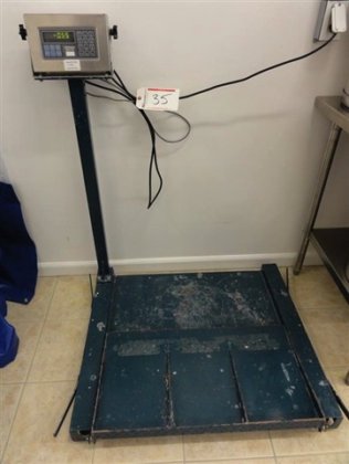 Pennsylvania Floor Scale, 500 KG