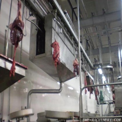 猪/牛/羊头和红内脏同步检查输送机 牛屠宰场设备 屠宰机
