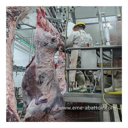 用于肉类加工的优质材料牛蹄筋切割机和圆锯切断机屠宰设备