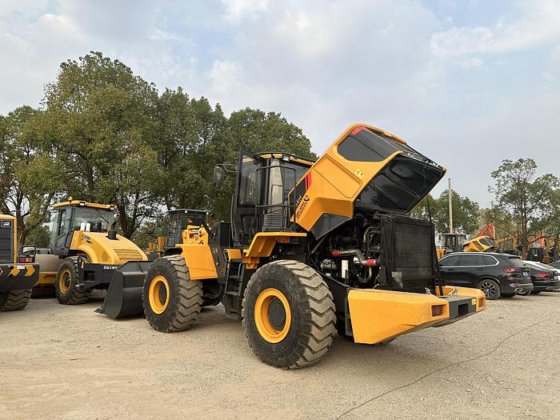 2020 LIUGONG 856H