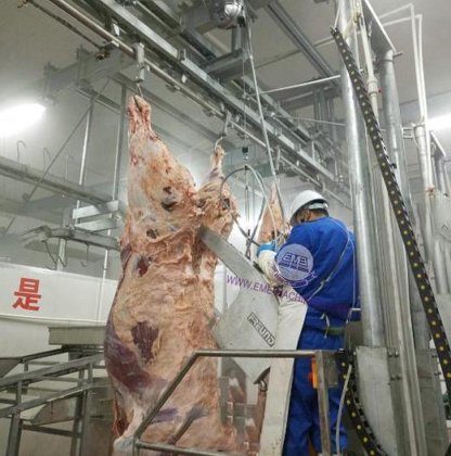 专业胴体分割锯 牛场设备 用于农业机械和设备。