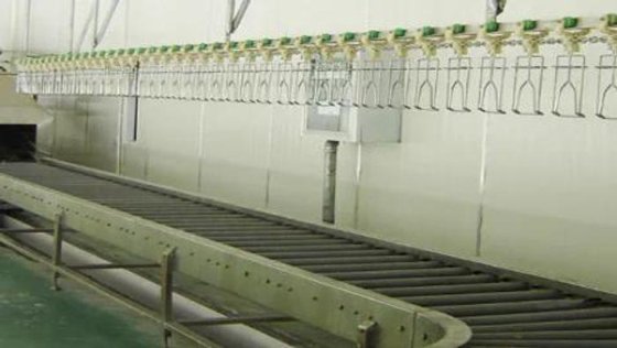 出厂价 活禽饲养辊道输送台 屠宰场机械 屠夫设备