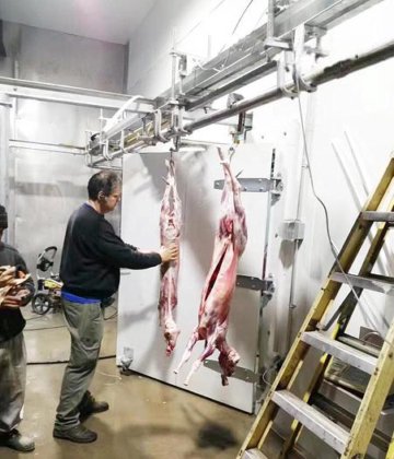 智能屠宰解决方案 用于屠宰场肉类加工的活体绵羊/山羊电击箱 屠宰场设备