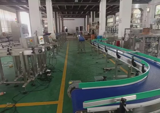 用于食品包装生产线的电动输送系统