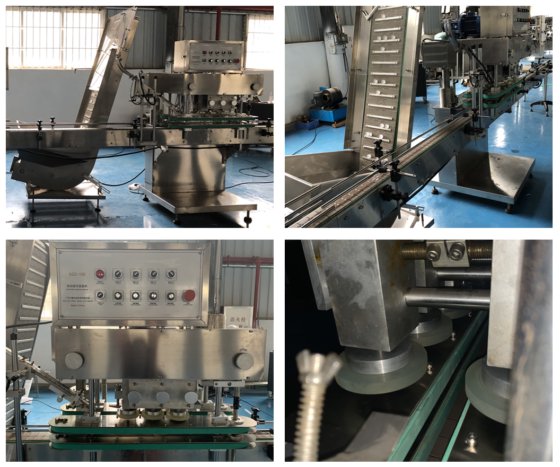 自动旋盖机系列(链板理盖) XGC-100B